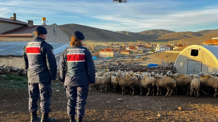 Kaybolan 150 küçükbaş hayvan, sahibine teslim edildi